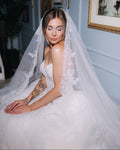 Chantilly Lace Edged Cathedral Veil