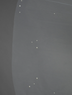 Scattered Pearl Cathedral Veil